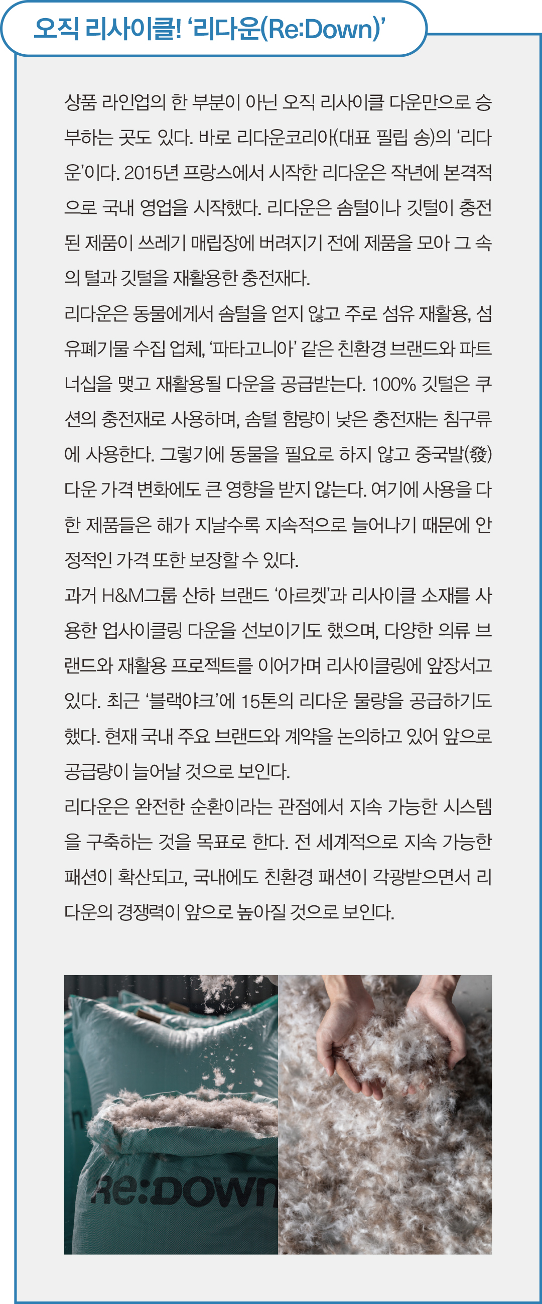 버진 다운 가격 폭등, 식물성·그래핀·리사이클 ‘대체 충전재’ 급부상 7970-Image